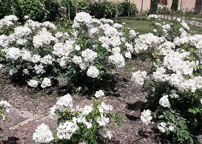 Palazzo De' Rossi 酒店