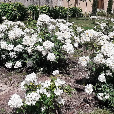 Palazzo De' Rossi Hotel